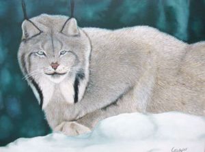 Voir le détail de cette oeuvre: Lynx du Canada